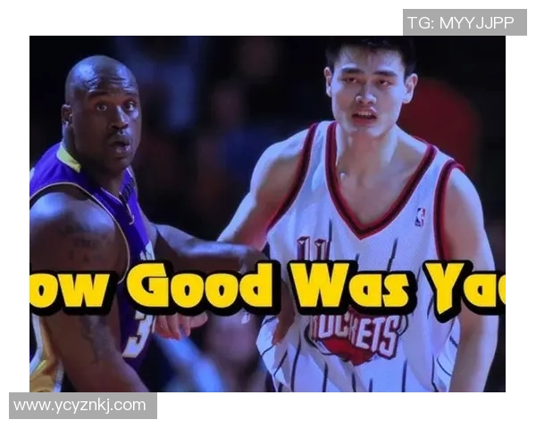 埃弗森对姚明的评价与两位篮球巨星的传奇故事交汇的深刻思考